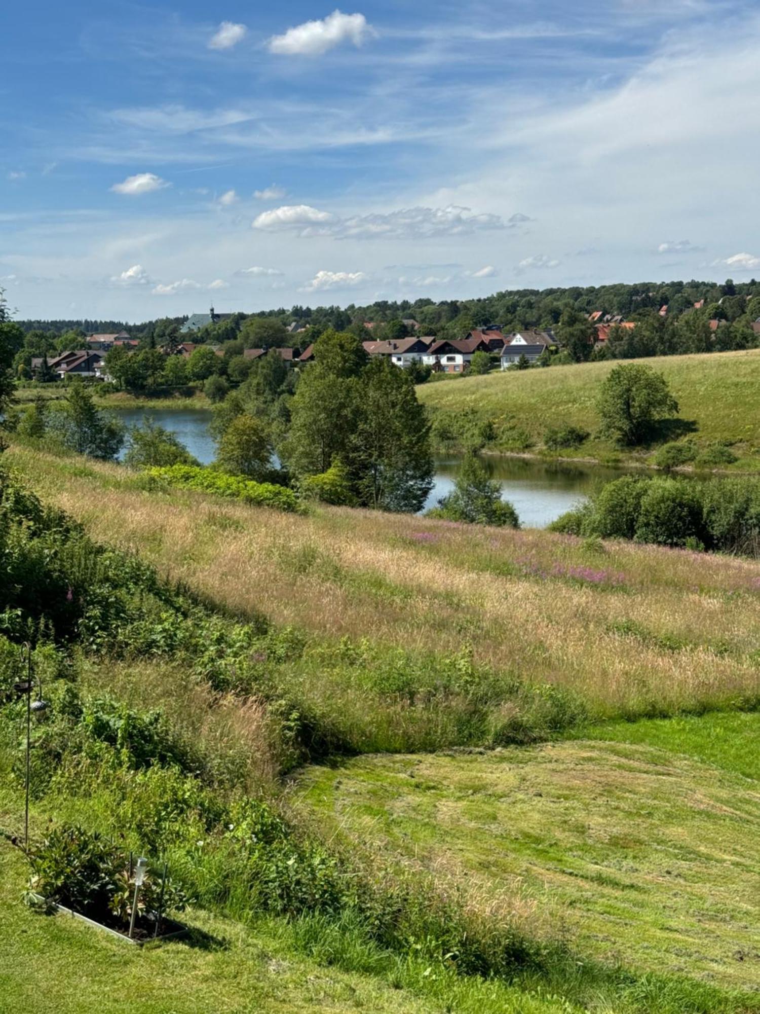 Appartement Max Clausthal-Zellerfeld Eksteriør bilde