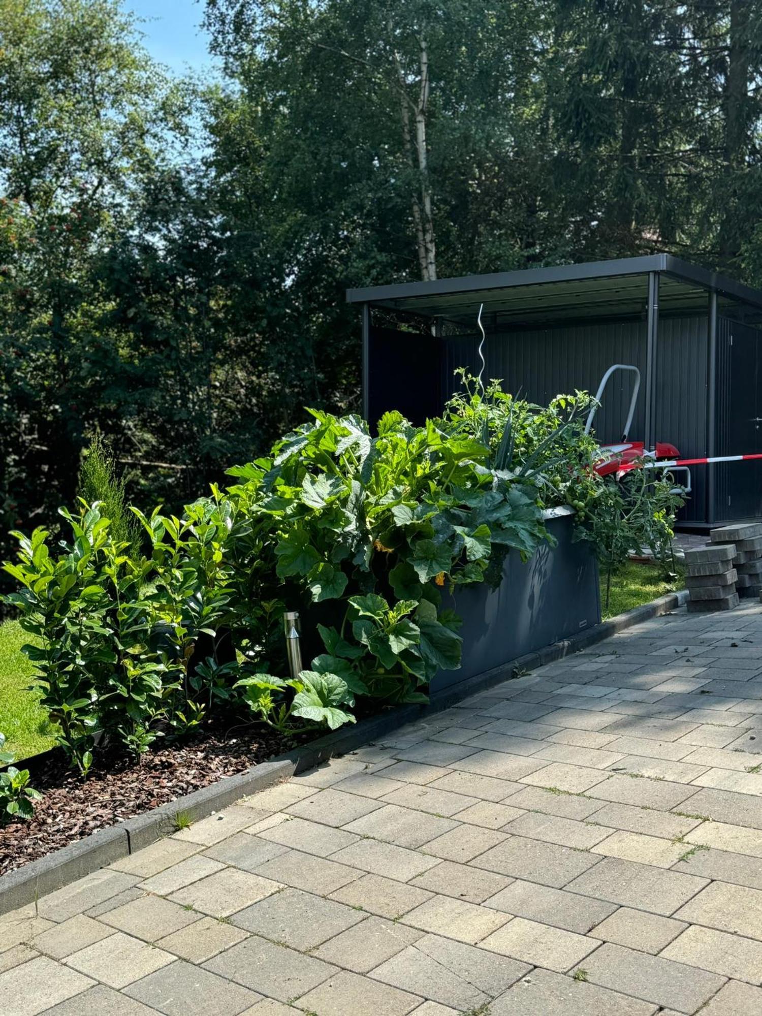 Appartement Max Clausthal-Zellerfeld Eksteriør bilde