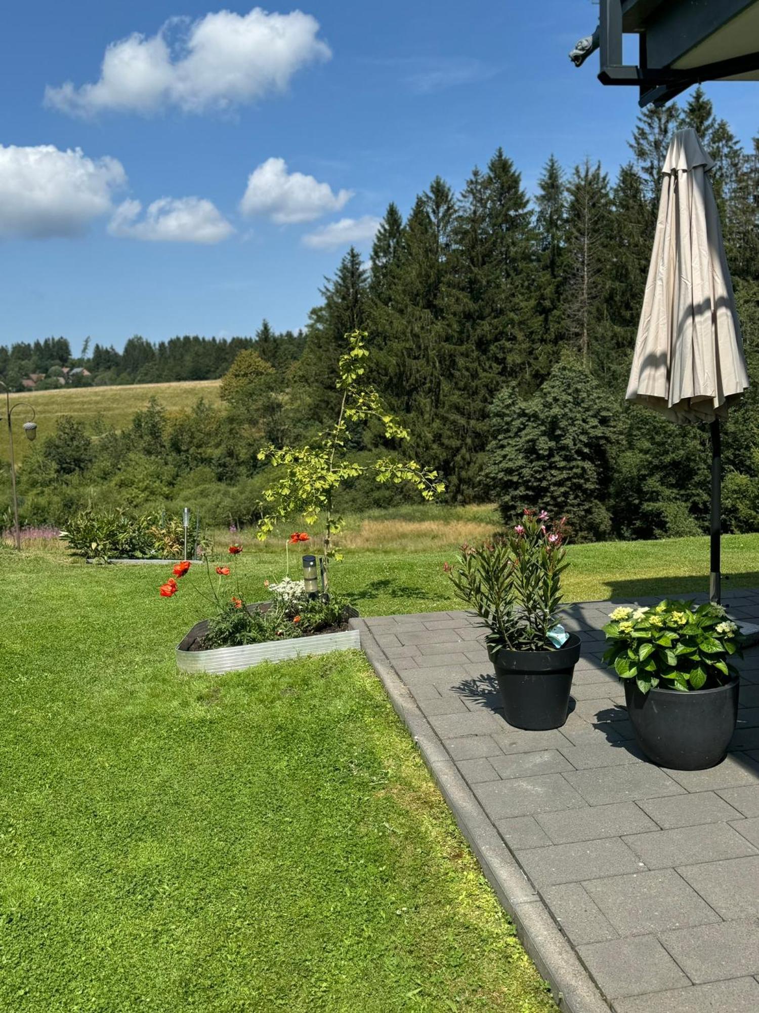Appartement Max Clausthal-Zellerfeld Eksteriør bilde